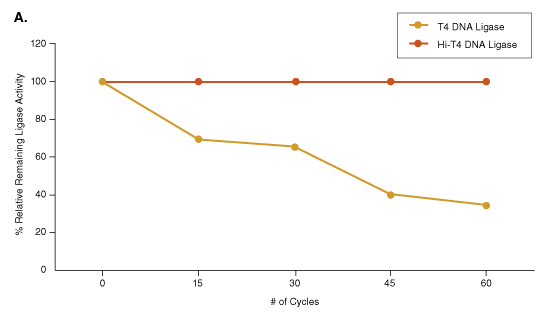 hi t4 dna ligase new england biolabs