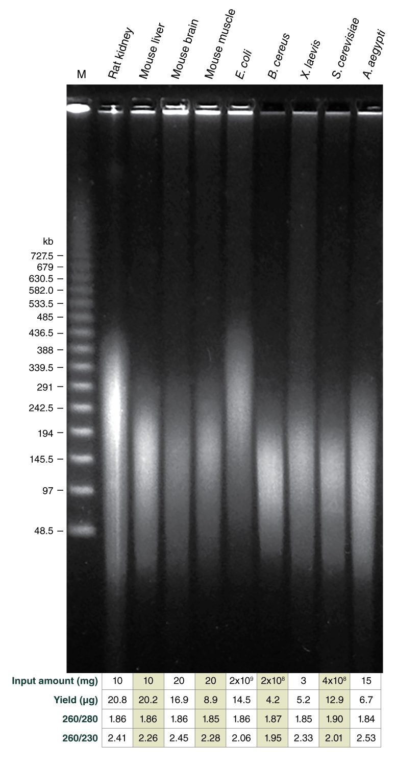 new england biolabs canada