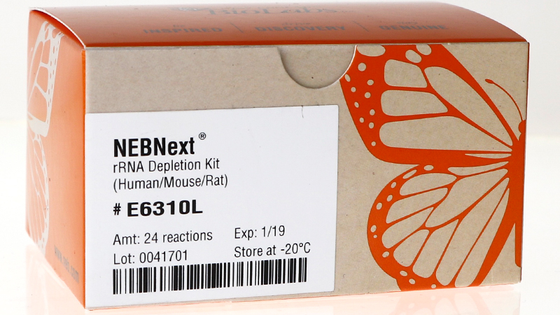E6310